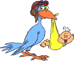 baby & bird.gif (6379 bytes)